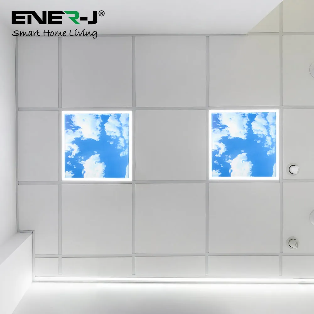 40W SKY LED 2D Ceiling Panel 60x60cms, Set of 2 Ultra Thin LED Panels, for Waiting Area, Hallway, Office and Home, Colour Temperature 6000k