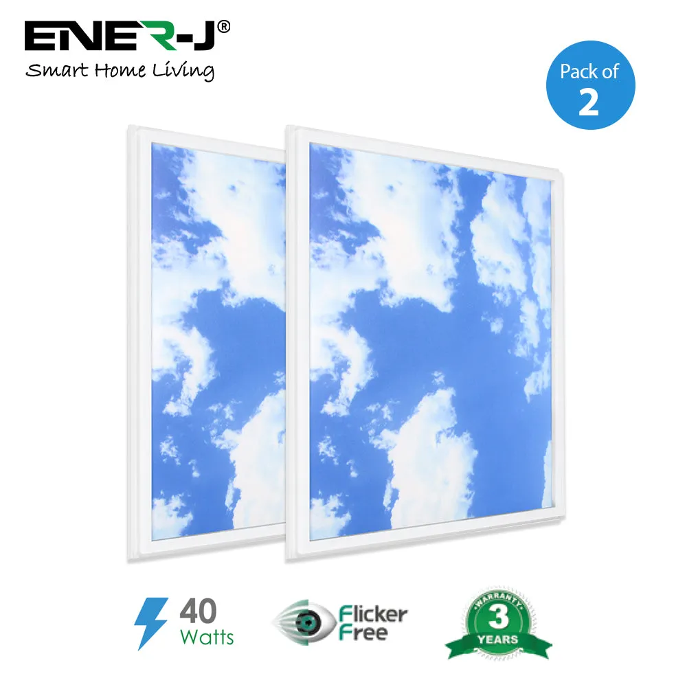 40W SKY LED 2D Ceiling Panel 60x60cms, Set of 2 Ultra Thin LED Panels, for Waiting Area, Hallway, Office and Home, Colour Temperature 6000k