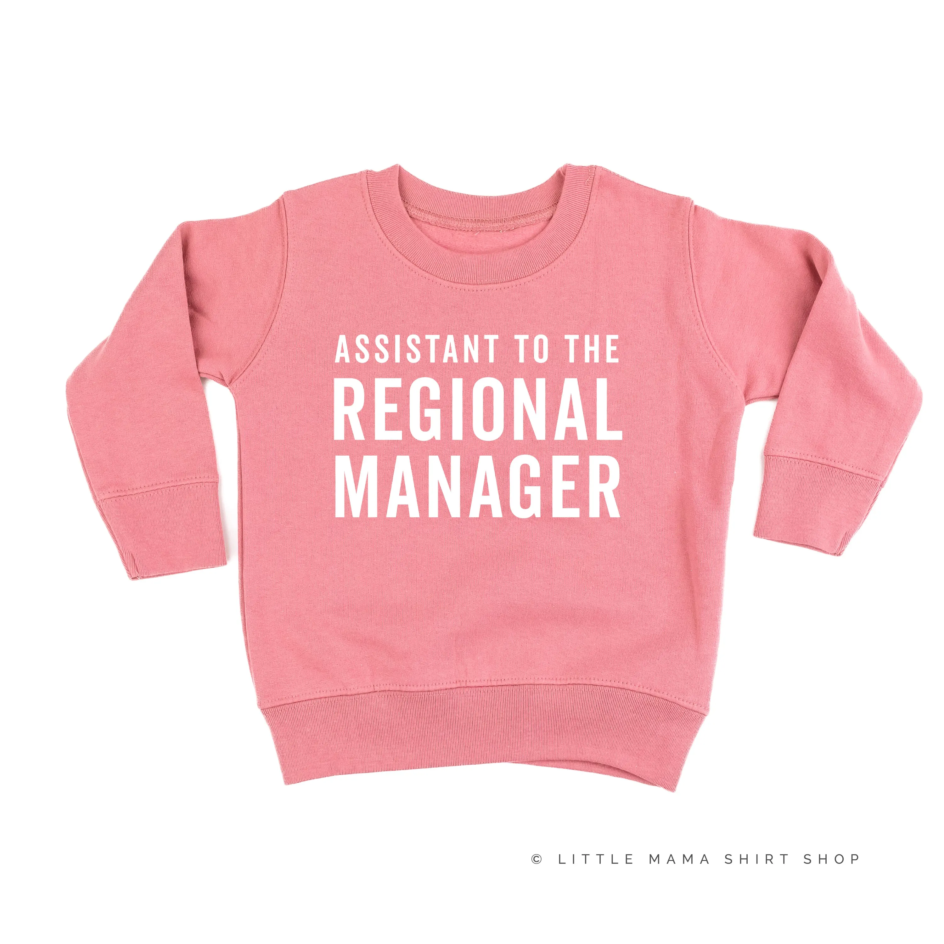 Assistant to the Regional Manager - Child Sweater