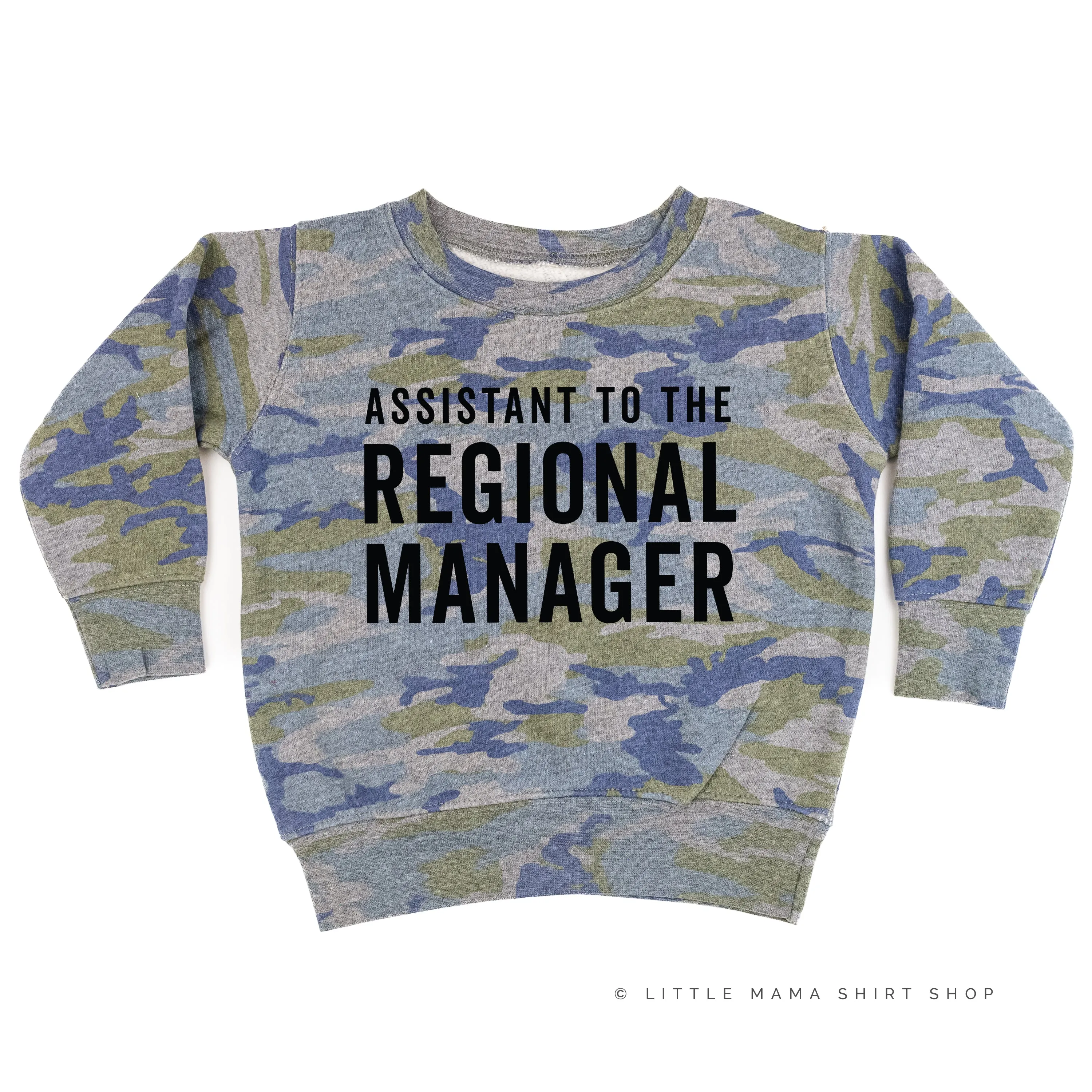 Assistant to the Regional Manager - Child Sweater