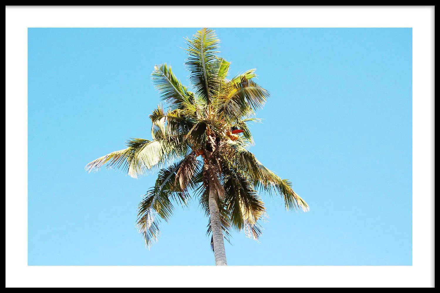 Bright Blue Sky
