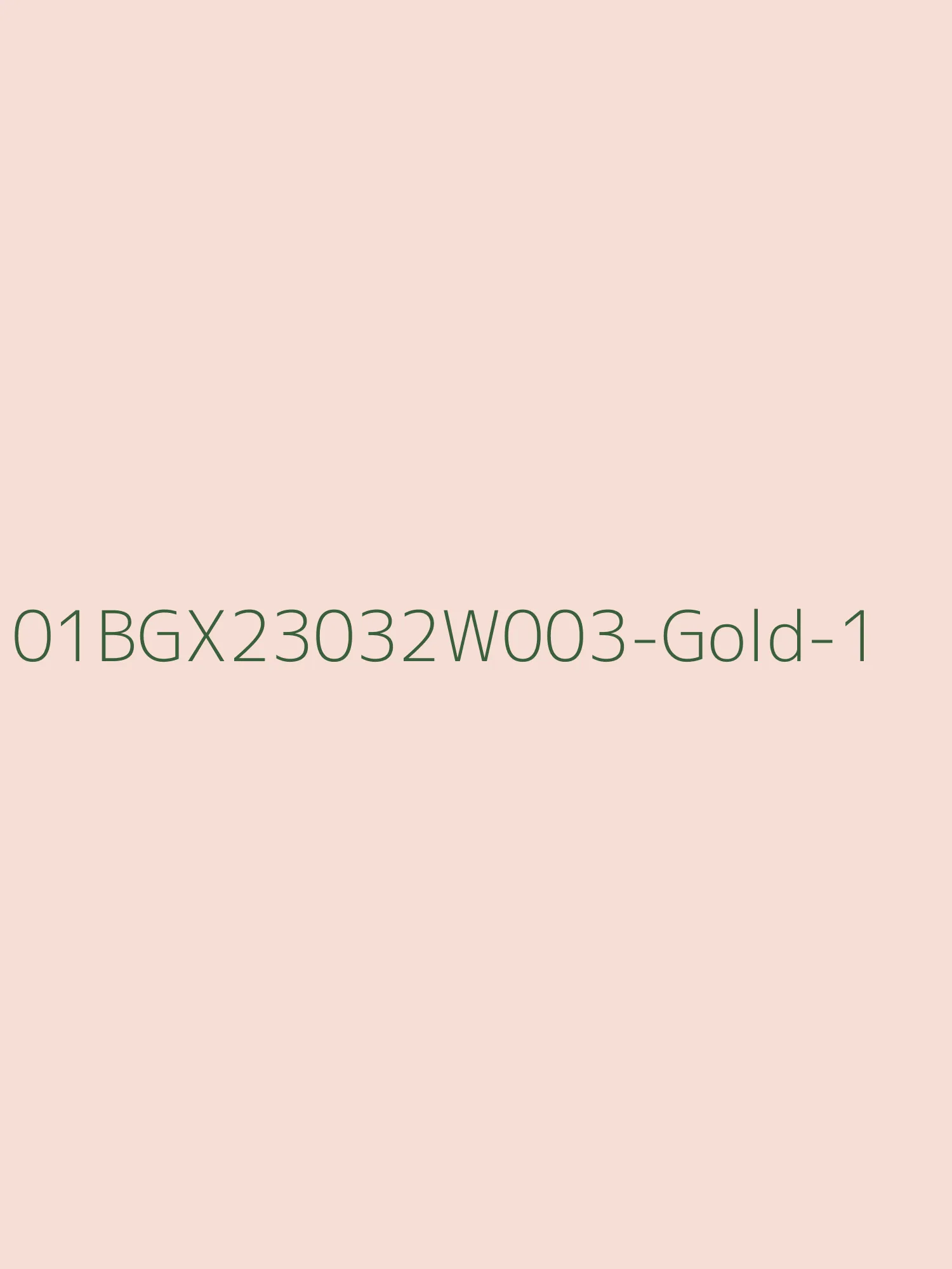 LBLSPU-01BGX23032W003
