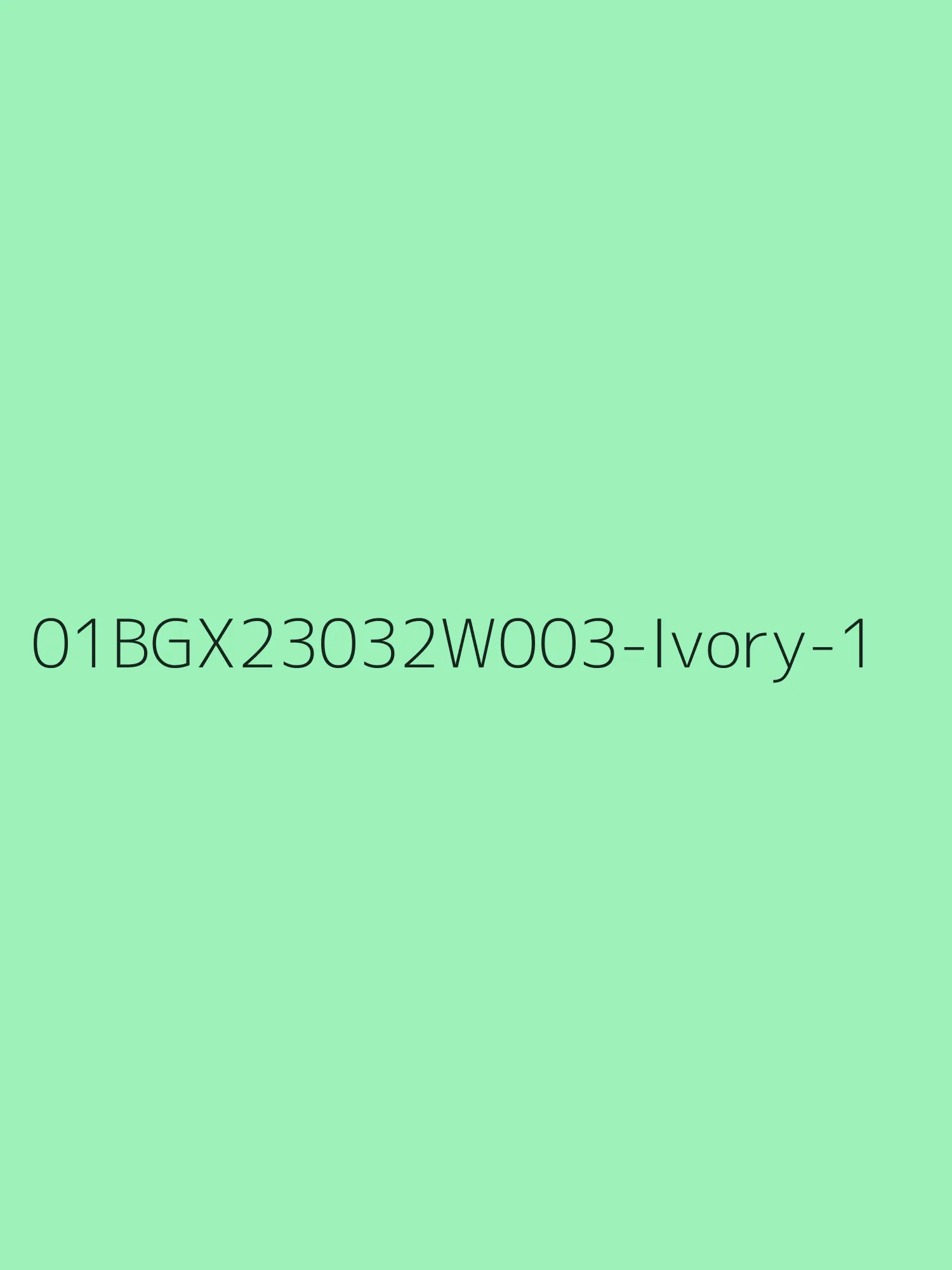 LBLSPU-01BGX23032W003