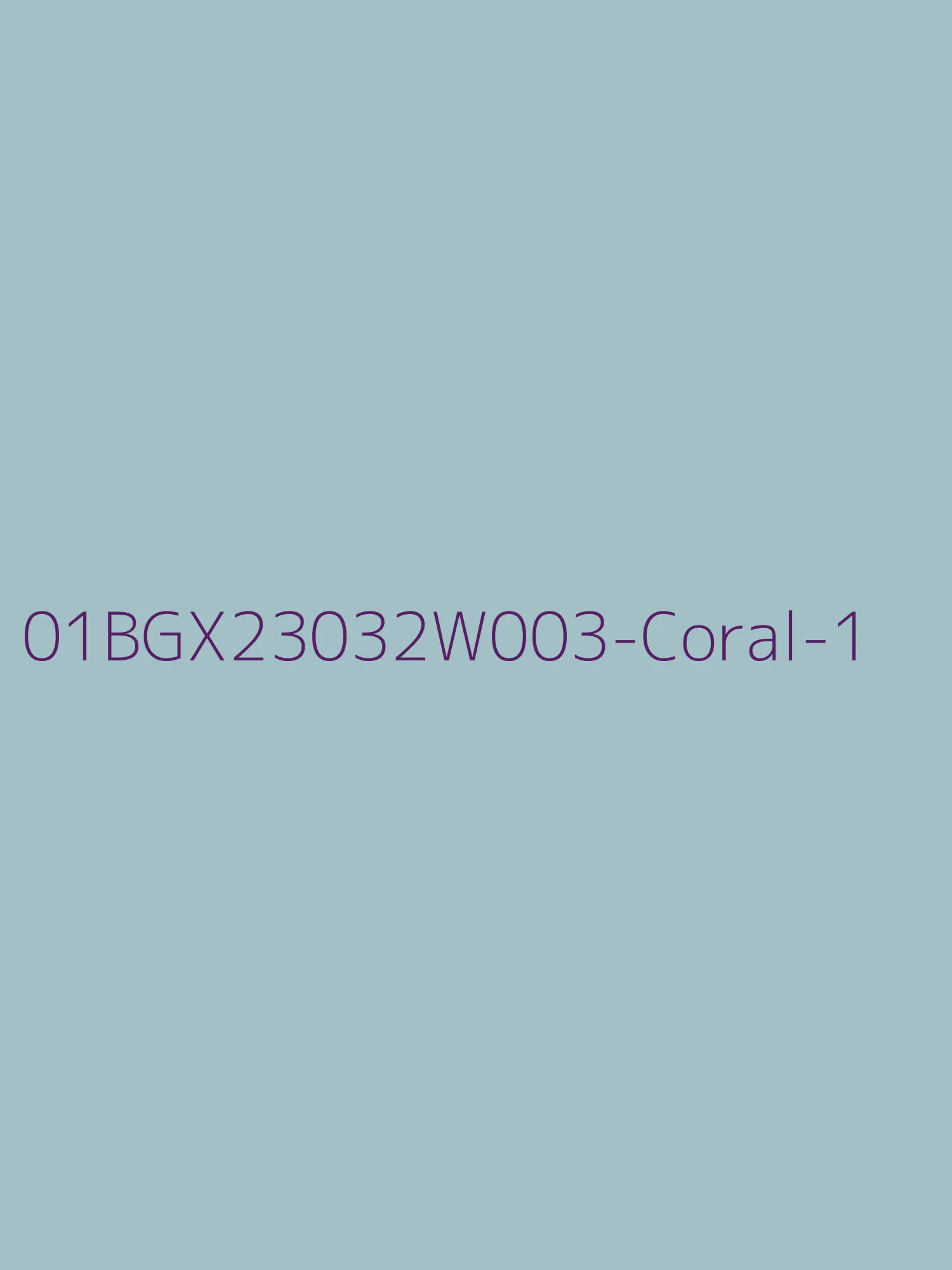 LBLSPU-01BGX23032W003