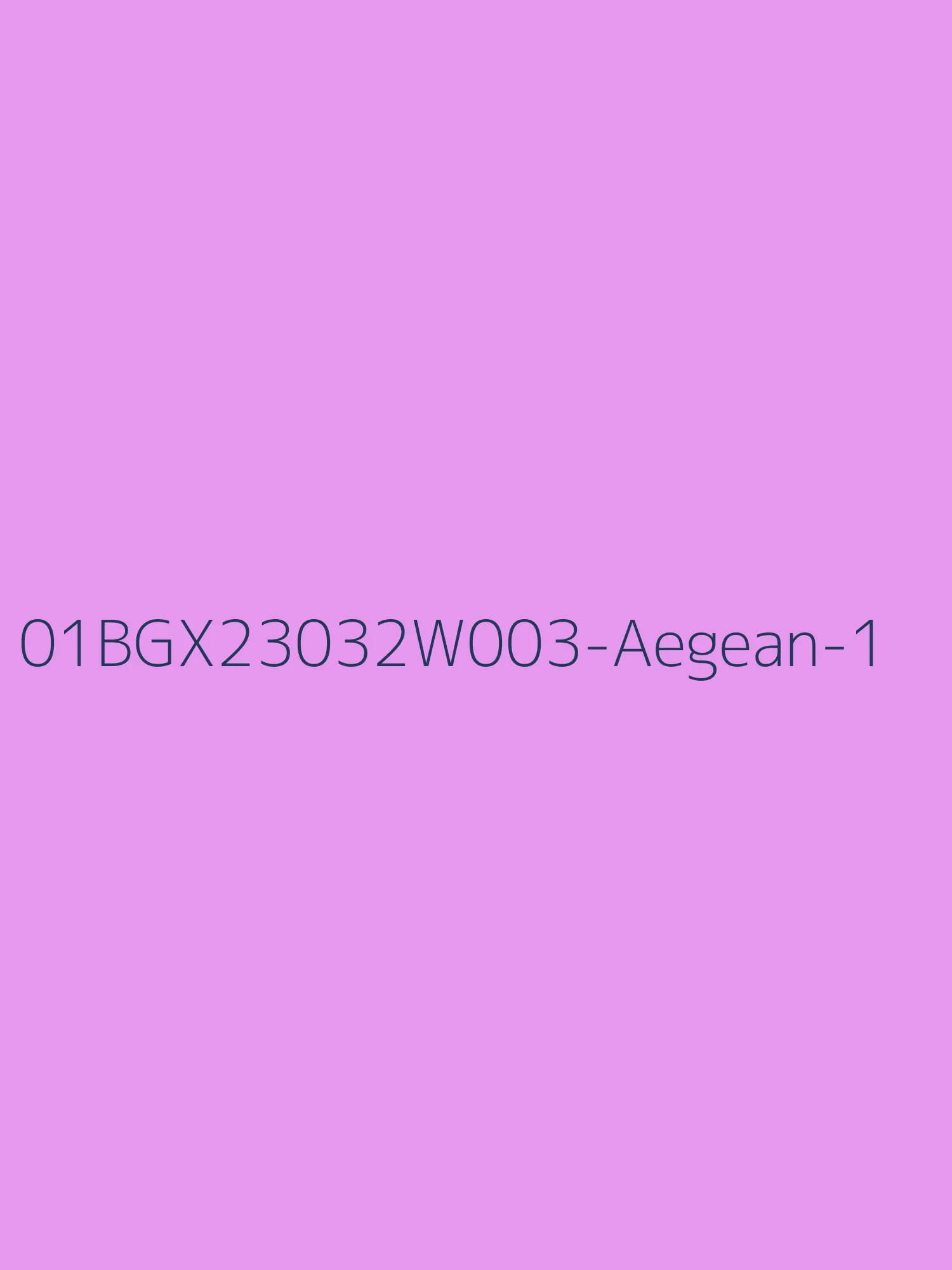 LBLSPU-01BGX23032W003
