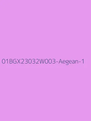 LBLSPU-01BGX23032W003
