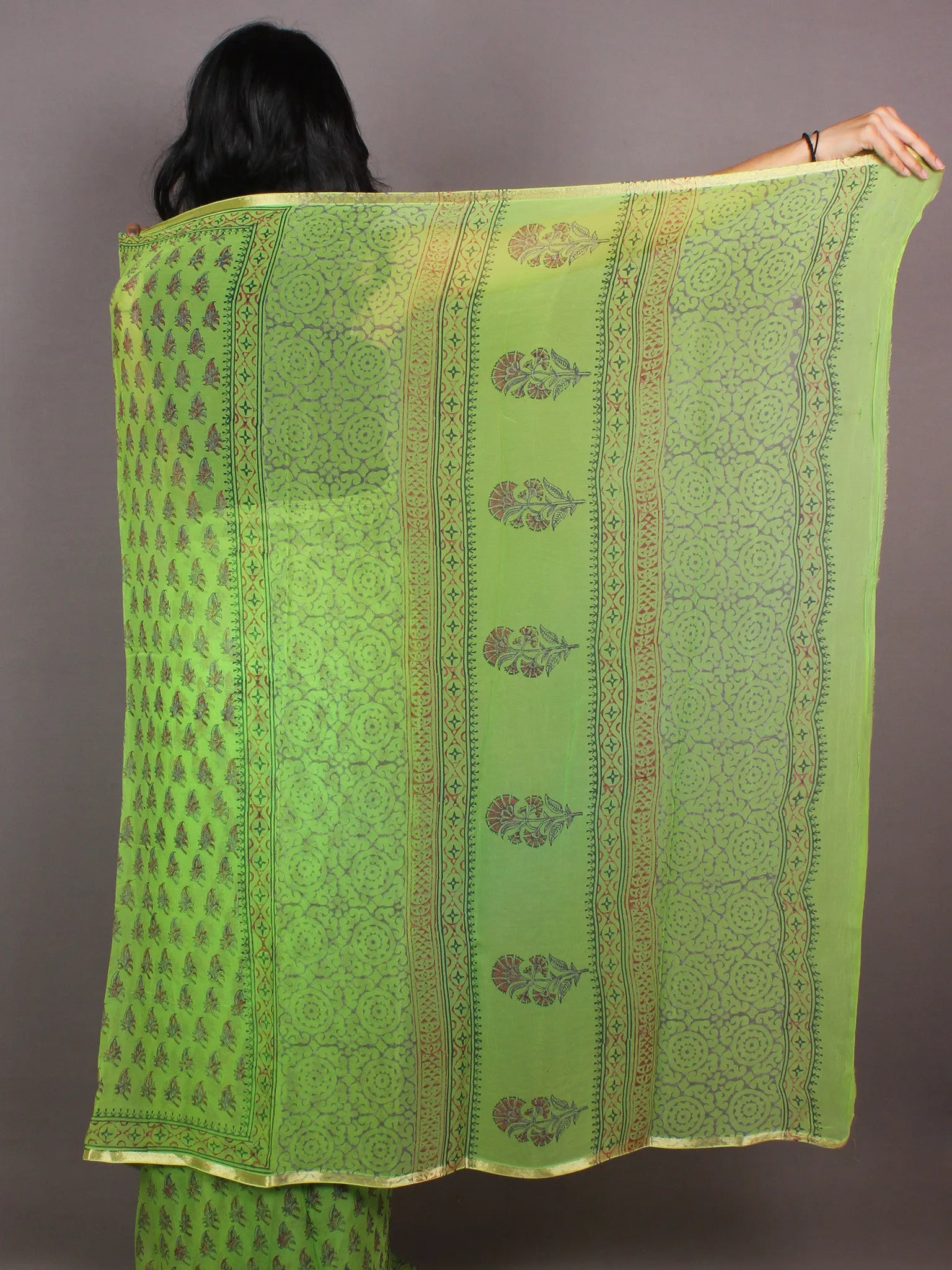 Mint Green Hand Block Printed in Natural Colors Chiffon Saree - S03170851