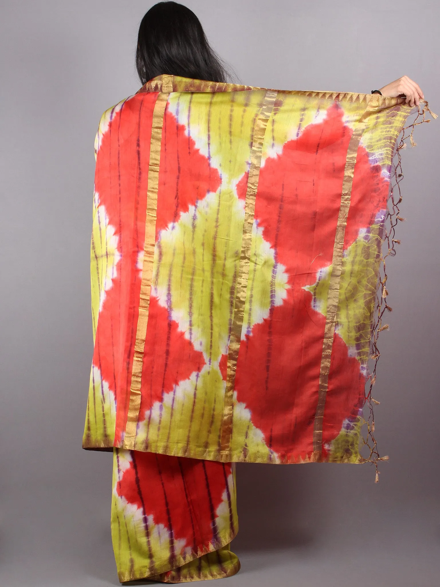 Red Mint Green Red Marvel Hand Shibori Dyed in Natural Colors Chanderi Saree with Geecha Border - S03170140