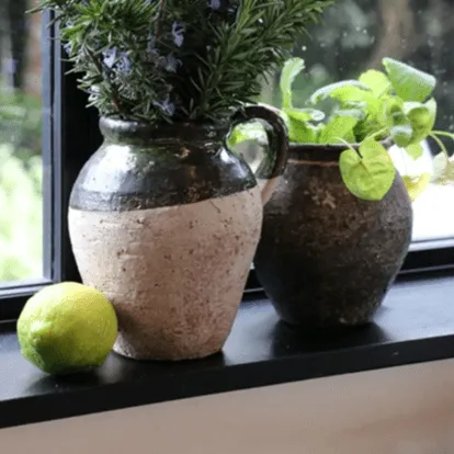 Tuscan Sage Jug