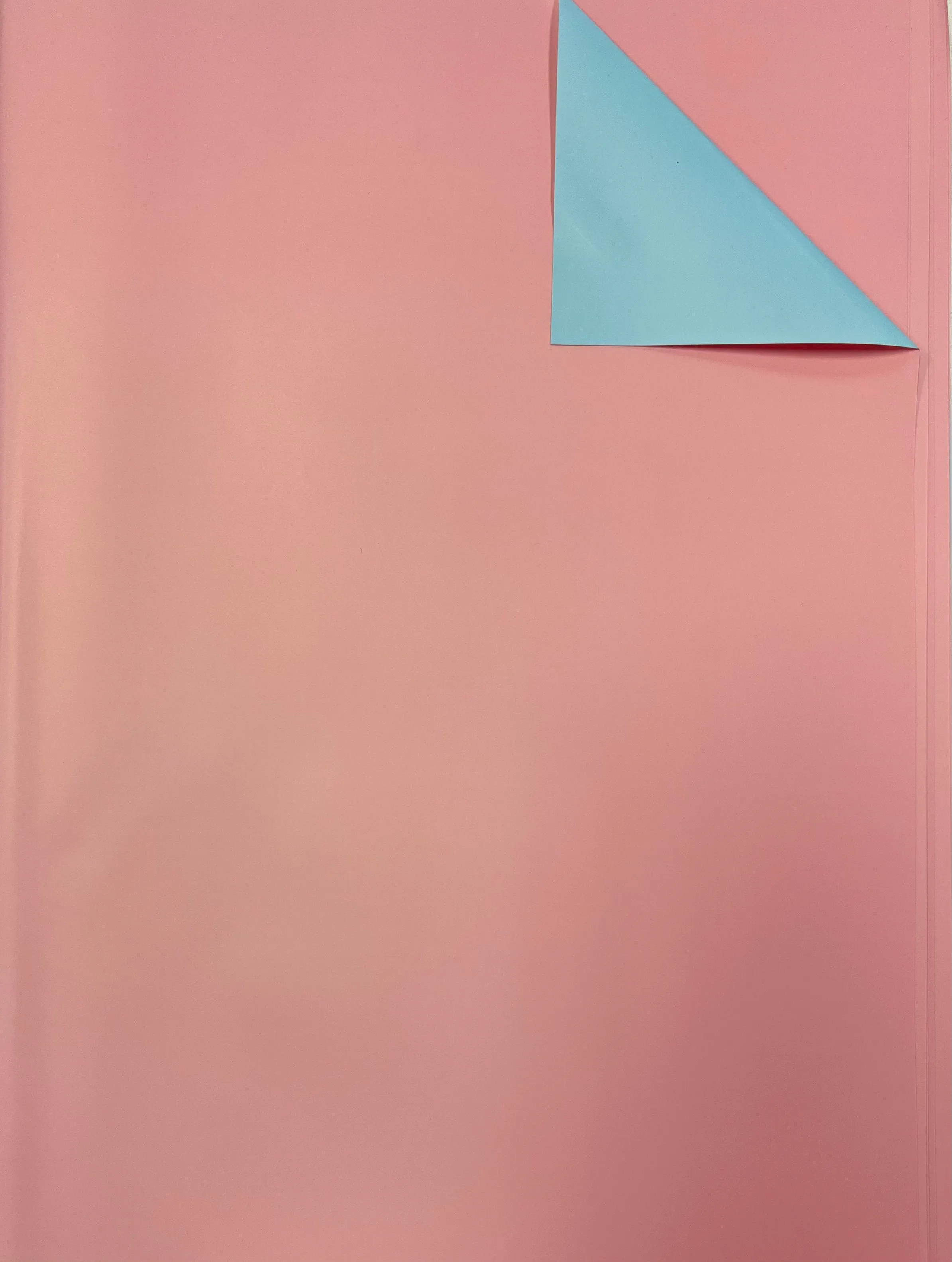 Two-Toned Floral Tissue Paper